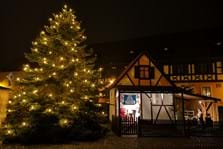 Weihnachtskrippe Baunach Nacht