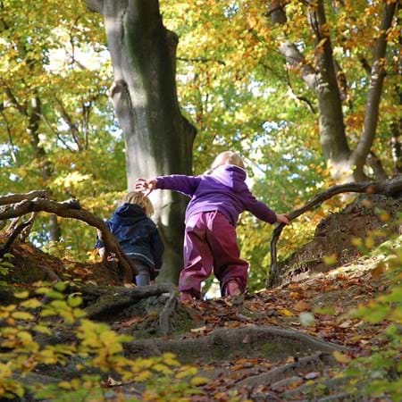 Baunacher Waldkindergarten startet im April 2022