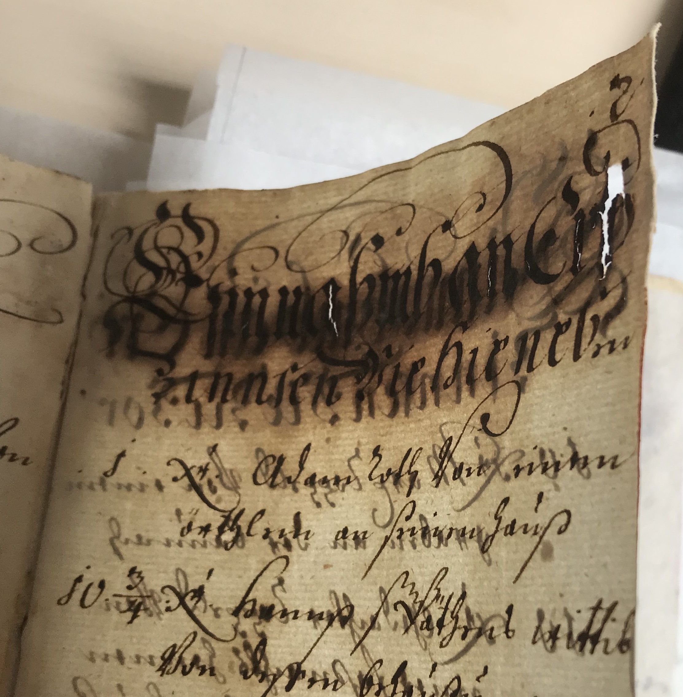 Gemeinsam für die Geschichte 3